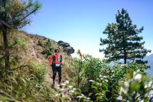 BIB: 
                            <button type="button" onclick="openModal(26608598)" class="btn btn-primary btn-sm float-right btn-popup" data-toggle="modal" data-target=".modal-high-quality">
                        <i class="fas fa-shopping-cart"></i> Add to Cart
                    </button>
                                            <button type="button" onclick="isThisMe(26608598, true)" class="btn btn-success btn-sm float-right btn-popup btn-isme hidden" data-toggle="tooltip" data-placement="bottom" title="นี่คือรูปของคุณใช่ไหม คลิกที่นี่เพื่อเอาเข้าอัลบั้ม">
                        <i class="fas fa-plus"></i> Add to album
                    </button>
                    <button type="button" onclick="isThisMe(26608598, false)" class="btn btn-warning btn-sm float-right btn-popup btn-isnotme hidden">
                        <i class="fas fa-ban"></i> Remove from album
                    </button>